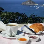 Al Mare 3* 바라노디스키아